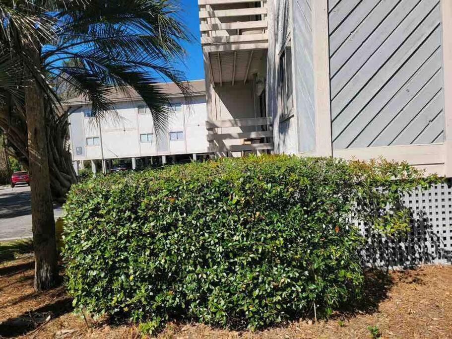 2022 Renovated 2-Bdrm Cozy, Lovely Condo W/Parking! Гілтон-Гед-Айленд Екстер'єр фото